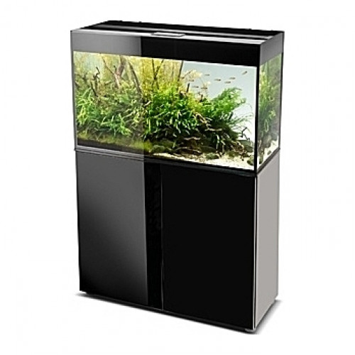 Aquarium AQUAEL Glossy 80 (Noir) - 125L