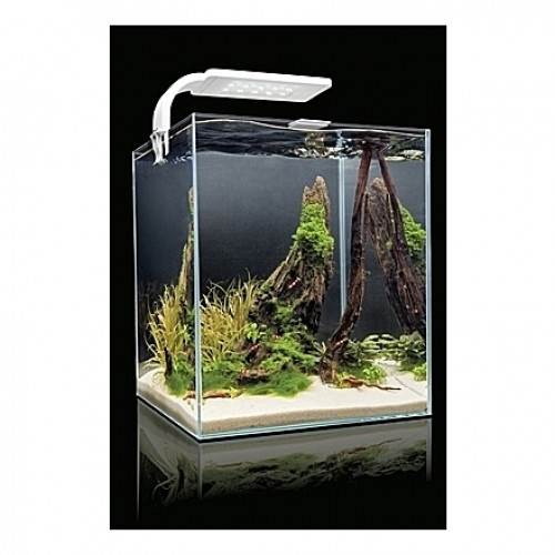 Aquarium AQUAEL SHRIMPSET (Blanc) - 19L