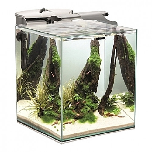 Aquarium AQUAEL Fish&Shrimp (Blanc) - 49L