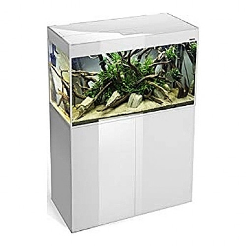 Aquarium AQUAEL Glossy 80 (Blanc) - 125L