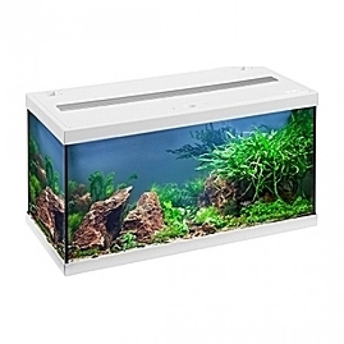 AquaStar LED (Blanc) - 54L