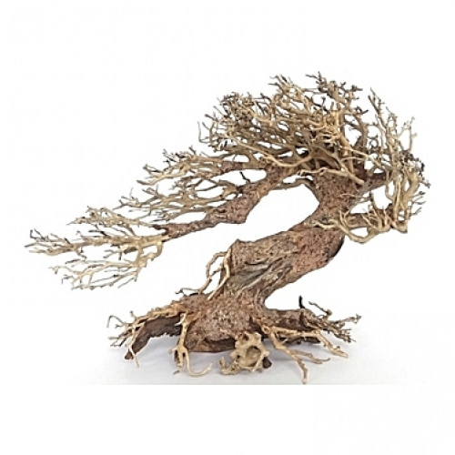 Racine arbre bonsaï 23x10x17 cm