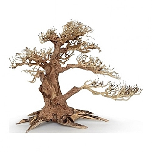 Racine arbre bonsaï 30x13x23 cm