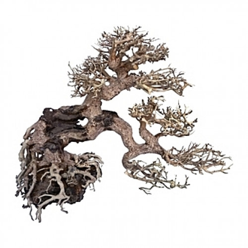 Racine arbre bonsaï 20x8x15 cm