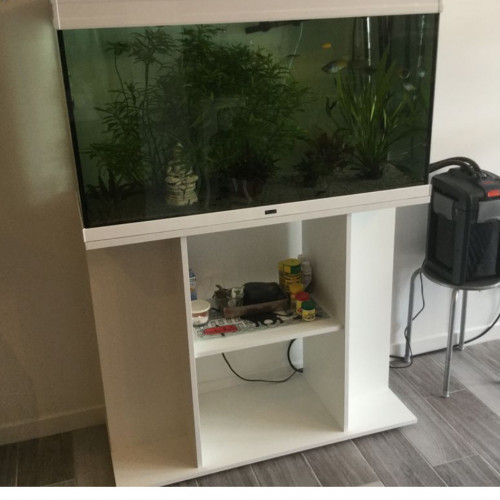 Urgent déménagement Aquarium 250L aquatlantis décors sables plantes et meuble en bois