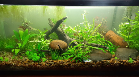 aquarium Aqua 30