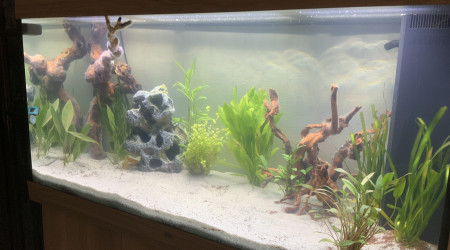 aquarium Aquarium salon 300l