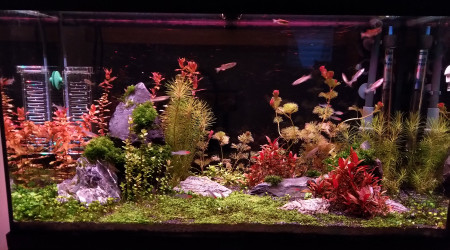 fin de journée á j+80