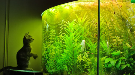 Quand Movie explore sa nouvelle maison...