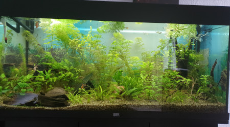 aquarium 180l