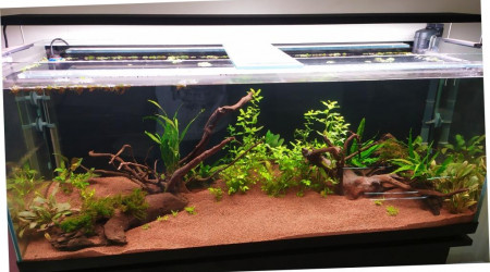 aquarium aqua 240