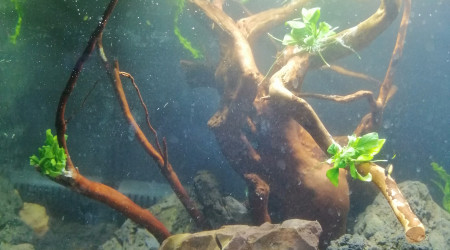 Installation terminée