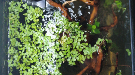 RePositionnement de la sortie du filtre