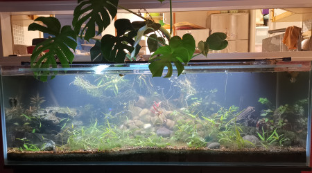 aquarium Aquarium 400L