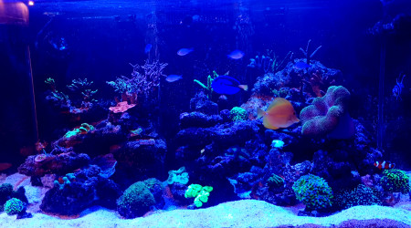 Après un petit changement d'eau