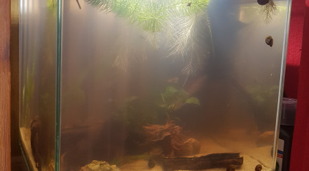 Ça s'éclaircit dans la pénombre ^_^