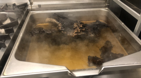 Racines et bois de mangroves