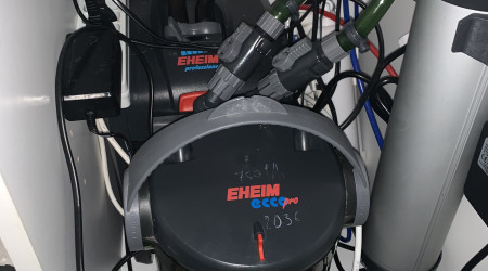 Filtration Pompes Eheim
