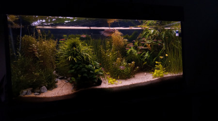 aquarium 180l