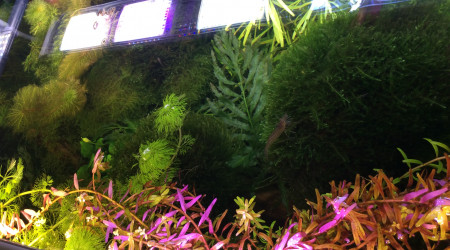 Avec et sans courant