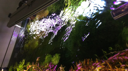 Avec et sans courant