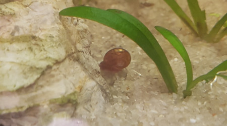 Une semaine après la mise en eau...