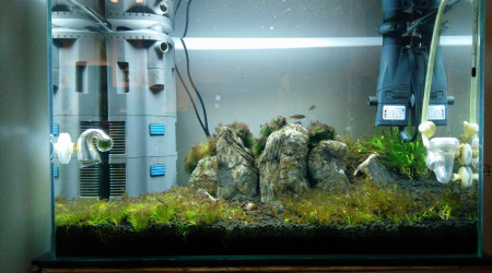 Presque 4 mois: BBA, parasites et trial & error