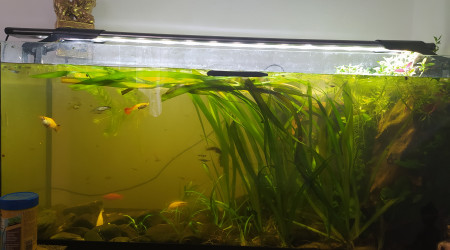 aquarium 120 L noir