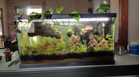 aquarium Nausicaa
