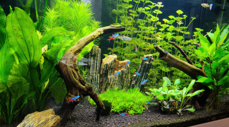 Photos du 29/09/2020