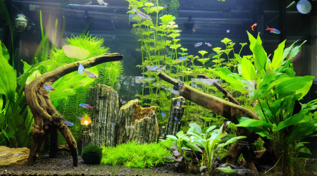 Photos du 29/09/2020