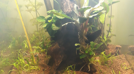 Nouvelle déco - Vivement la fin du cycle