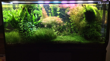 Remaniement des modules de la rampe led