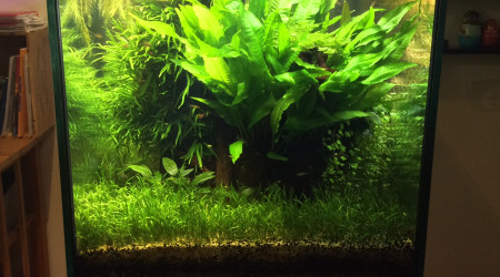 Remaniement des modules de la rampe led