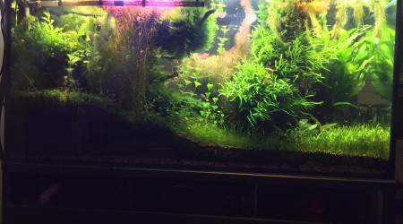 Remaniement des modules de la rampe led