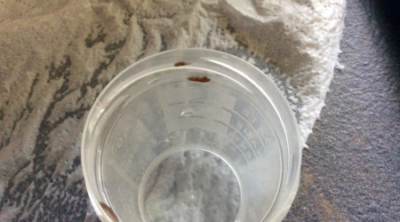 Boitage des pièges à planaires