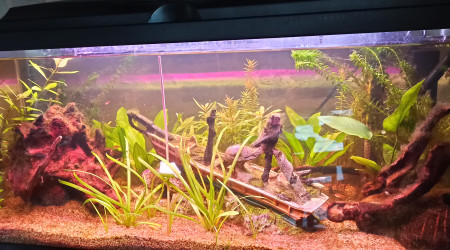 aquarium Premier Aqua 80L