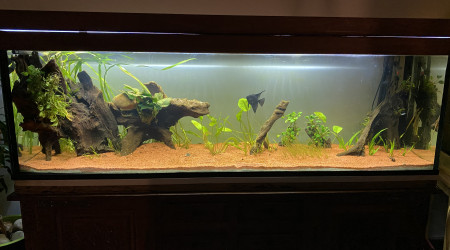 aquarium 600 L