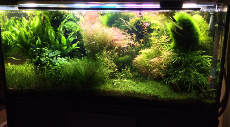 Tentative de percée face arrière direction face avant,projet en cours