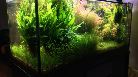 Tentative de percée face arrière direction face avant,projet en cours