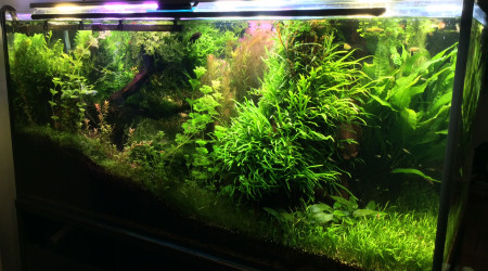 Tentative de percée face arrière direction face avant,projet en cours