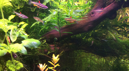 Tentative de percée face arrière direction face avant,projet en cours