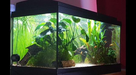 Le calme après la tempête...