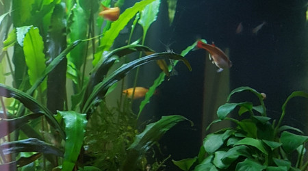 Le calme après la tempête...