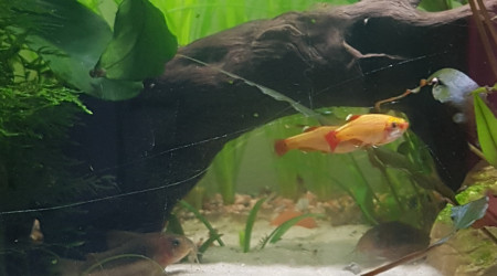 Le calme après la tempête...