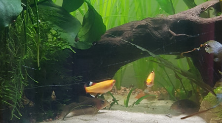 Le calme après la tempête...