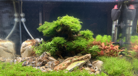 3 semaines de pousses et nouveautés