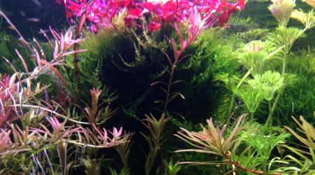 Spécial dédicace à Chris.