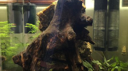 Ancienne configuration - Face