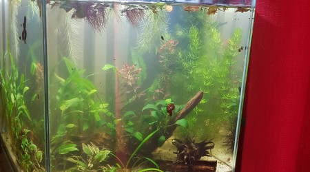 Petite évolution...